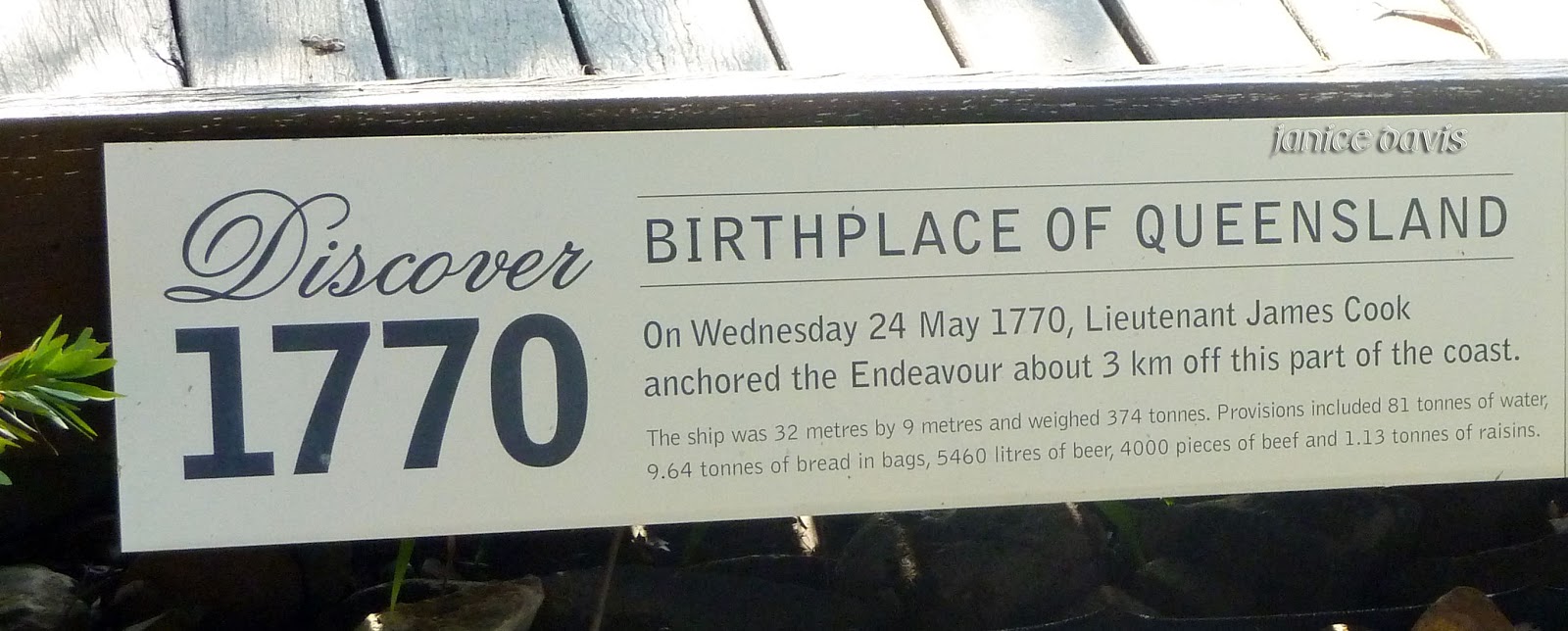 thoughts & happenings 1770, Queensland