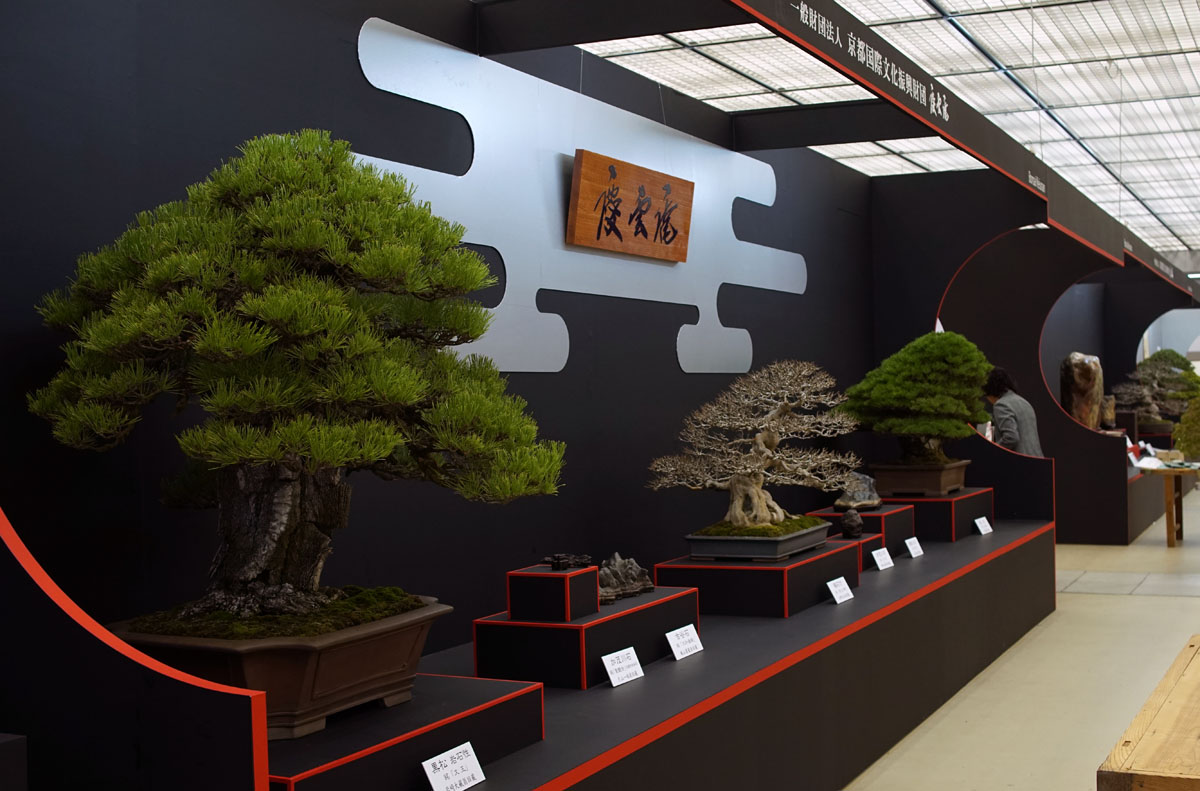 World of Bonsai and Gardening
