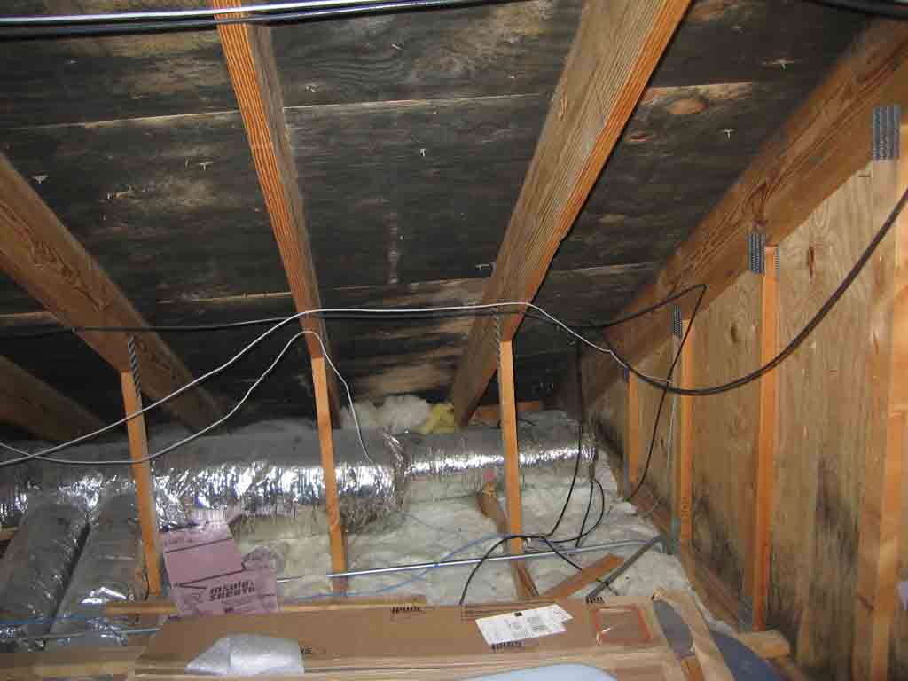 Where Does Mold Grow Household Mold Problem Mold Removal DIY Tips