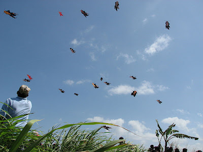 Kite Festival Padang Galak