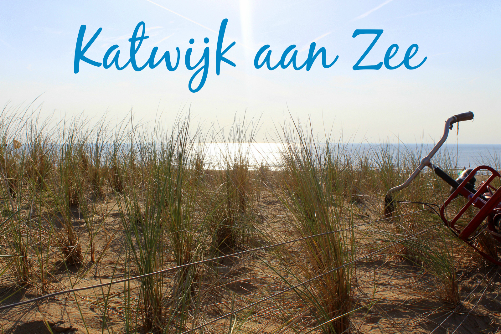 Free Download Laura Marling Alas Rapidshare Programs For Low Income