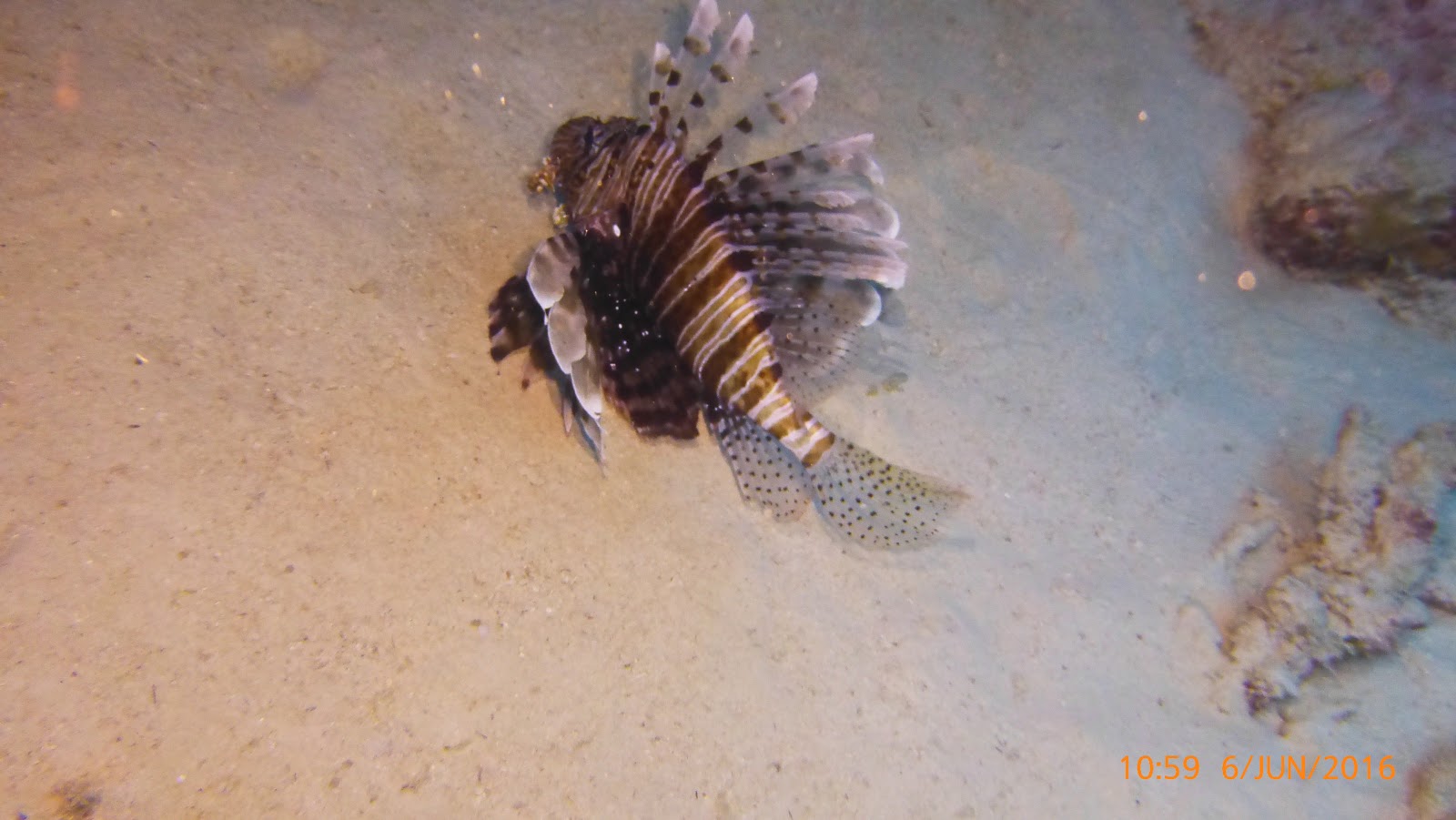 El mar arriba y abajo (1) Juan Francisco de la Bodega y Quadra