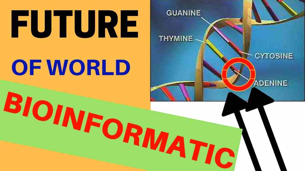 Employment Opportunities in BIOINFORMATICS - Various Application of ...