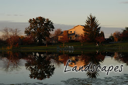 Landscapes Gallery