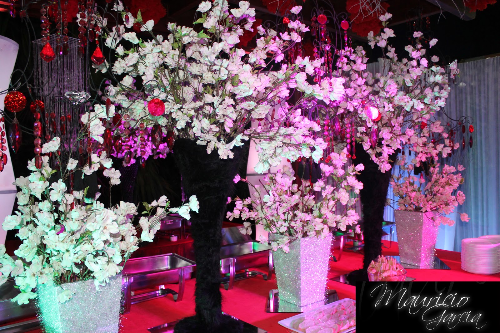 Mauricio Events: Bodas Laura Valdez y Jose Luis Taveras 04 Febrero 2012