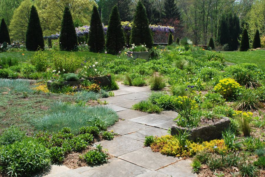 Dry sink containers are scattered at the top of the Gravel Garden, and along the stone step that descend done the slope. A green circle lawn (on left) is edged with six pillar Arborvitae, which act as the vertical exclamation points at the top of the hill.