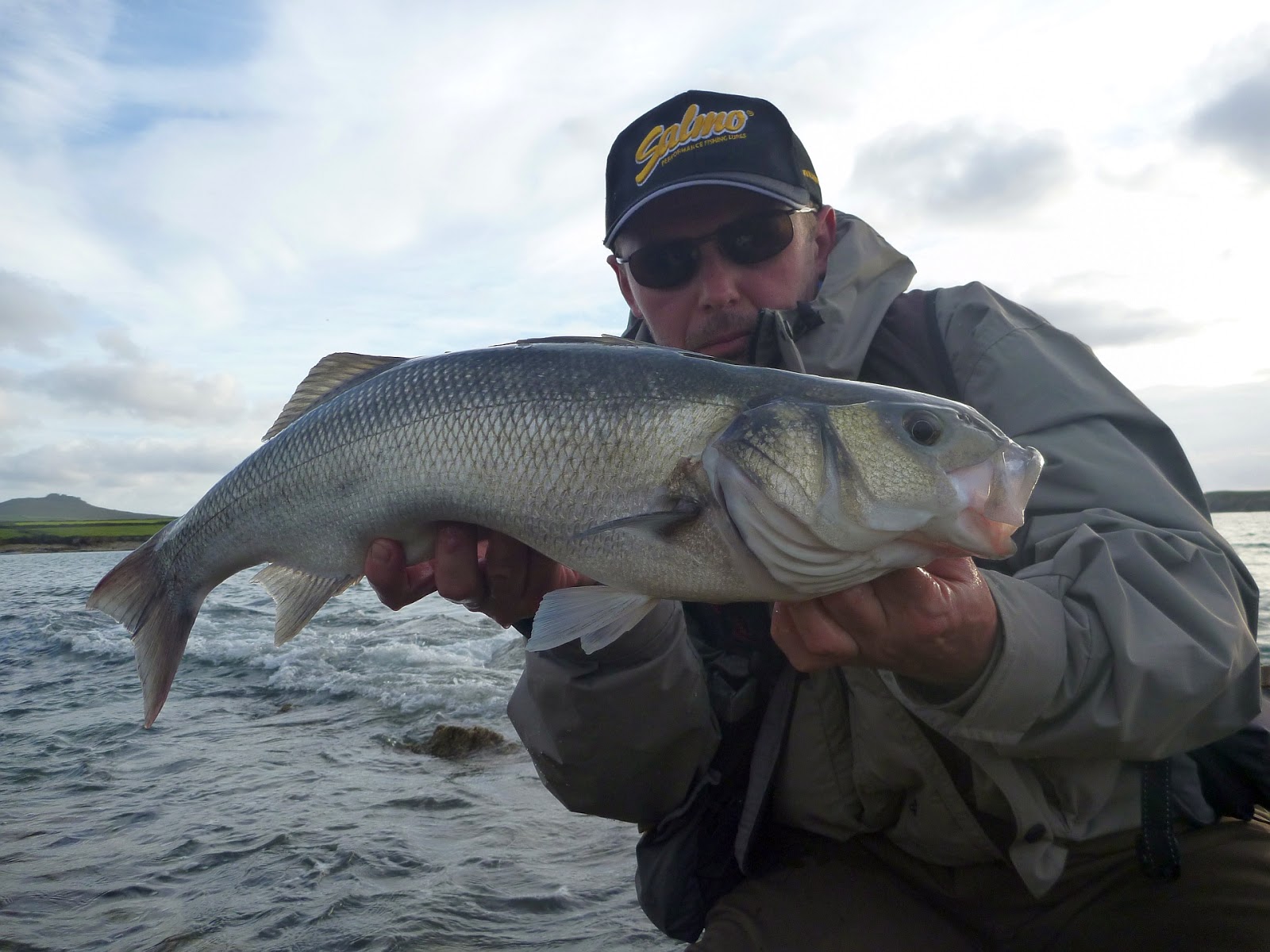 Sea Bass Hunting Salmon & Sea Trout from the river, lake Perch and