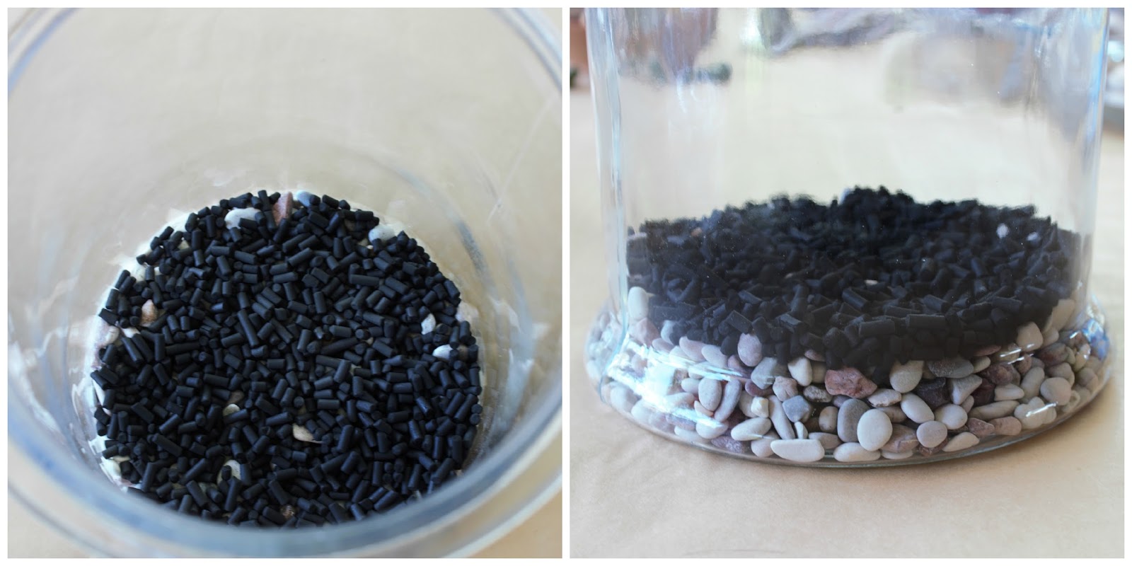 wireless9 How to Make Your Own Green Terrarium