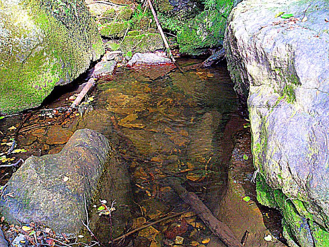 Langenhennersdorfer Wasserfall