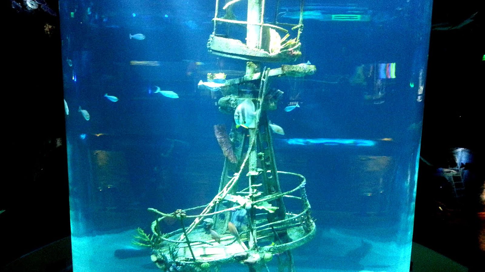 Bass Pro Springfield Mo Museum Trip to Museum