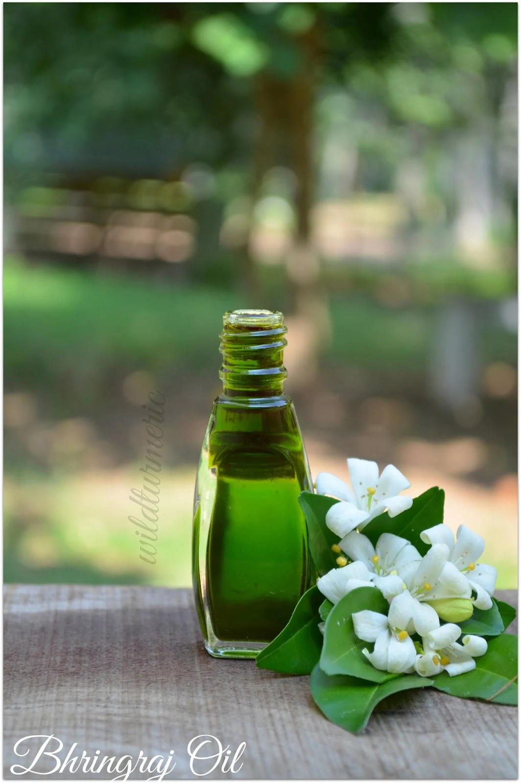 Stunning Bhringraj Oil For Hair Growth Wallpaper Photography Stunning Bhringraj Oil For Hair Growth Wallpaper Photography