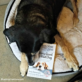 senior rescue dog Chicken Soup for the Soul book