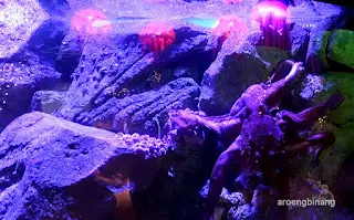 jakarta aquarium neo soho