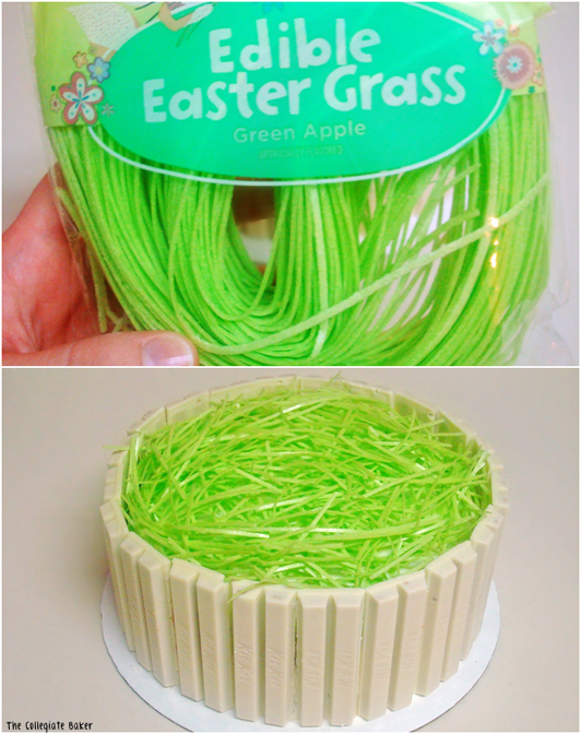 Edible Easter Grassraparperisydan