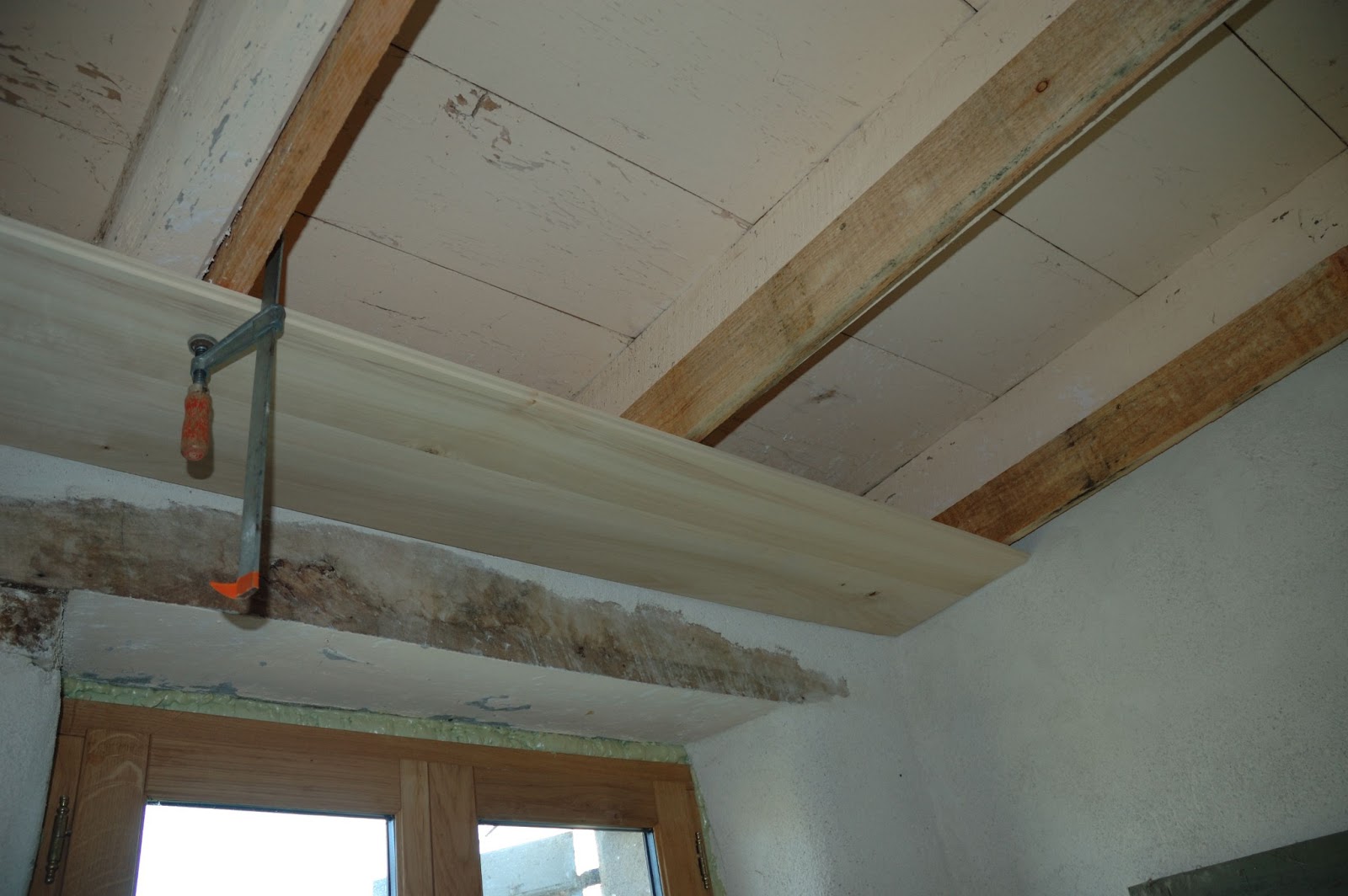 La maison d'après Plafonds