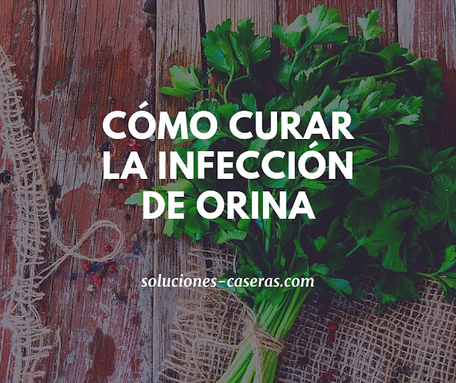 Remedios naturales para curar la infección de orina