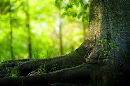 4k Wallpaper Zip File Download For Android Wallpaper Download Free