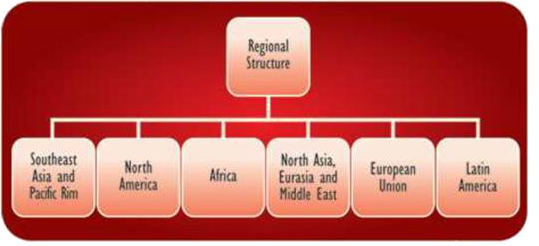 Under structure. молекула. Functional organizational structure. Under structure. Under structure.