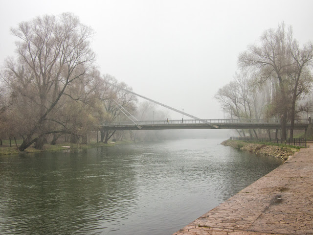 Crisul Repede. Oradea