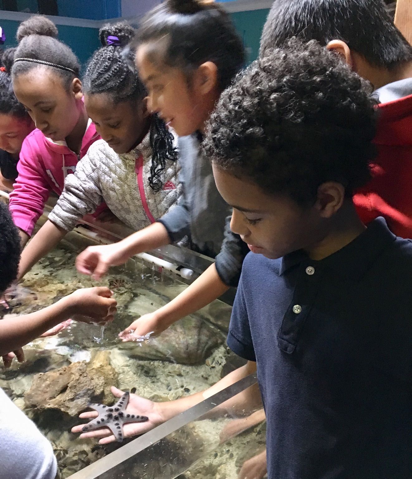 Mrs. Jenkins' News Marine Science & Education Center