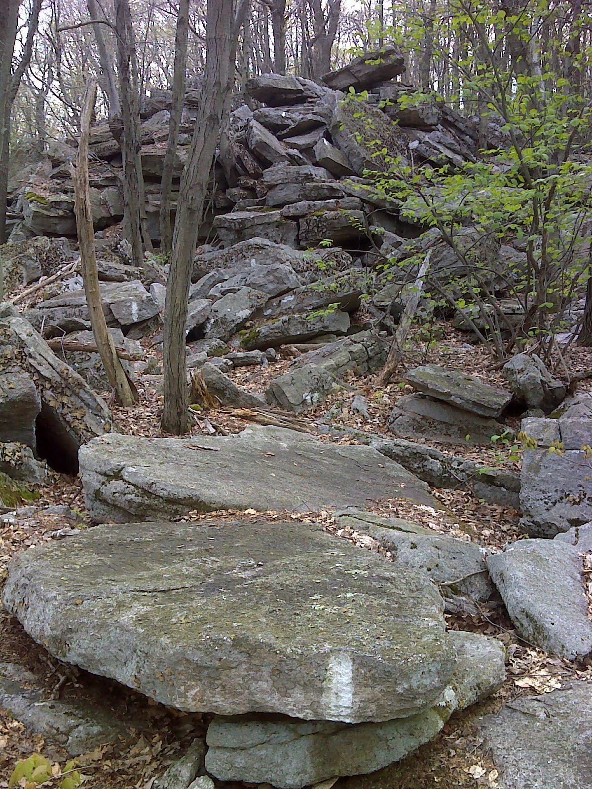 Heart and Sole Pennsylvania Rocks!