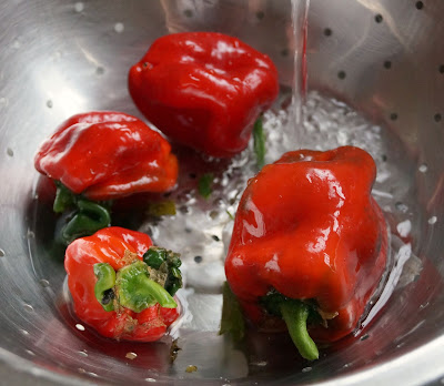 ittle red peppers - 'growourown.blogspot.com' - an allotment blog