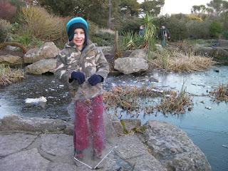  slab of ice from frozen pond