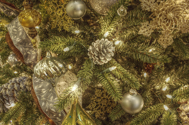 Zachary Allen Pilz Photoblog