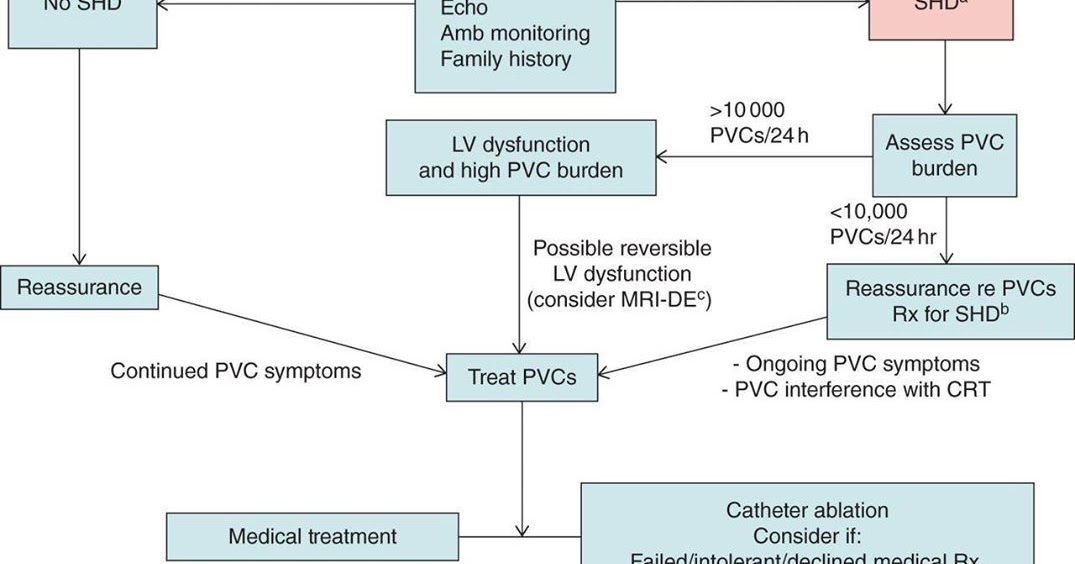 note about case study : เวลาเจอ PVC ต้องทำยังไง?