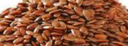 Flax Seeds In Tamil Meaning Flax Seeds Meaning In English Hindi Telugu Tamil Marathi Gujrathi Malayalam Kannada Pocket News Alert