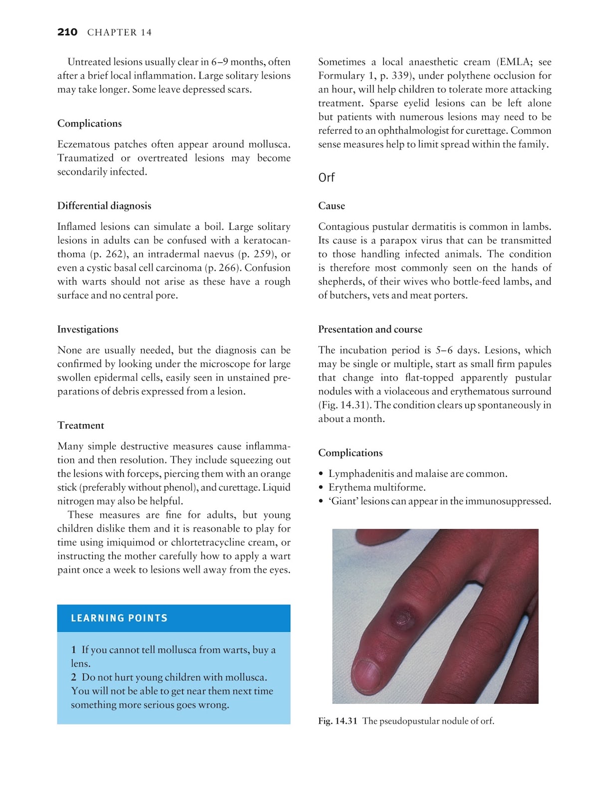 Medicine by Sfakianakis G. Alexandros: Skin disease in perspective 4