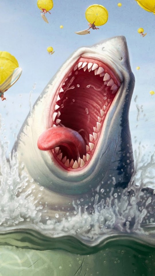Funny Shark Illustration  Android Best Wallpaper