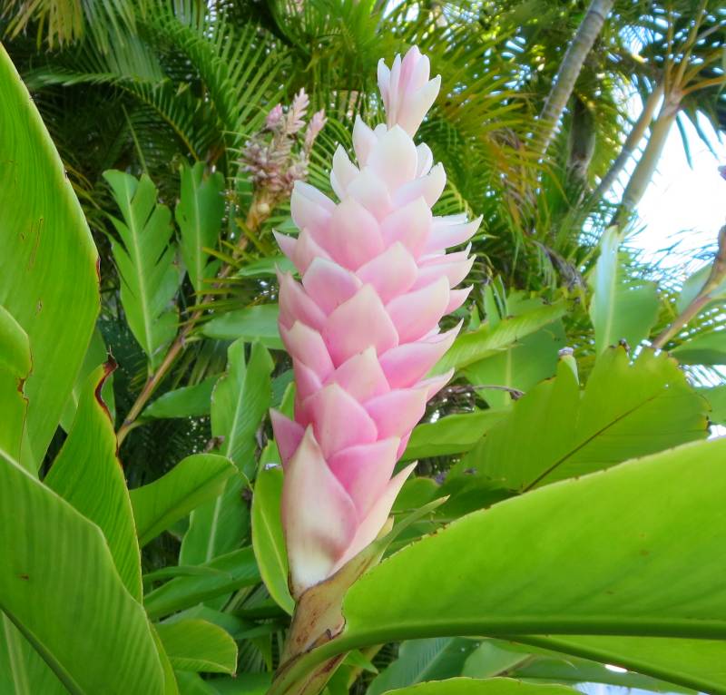 Cruising the ICW with Bob423 Key West Air Conditioning heat mode
