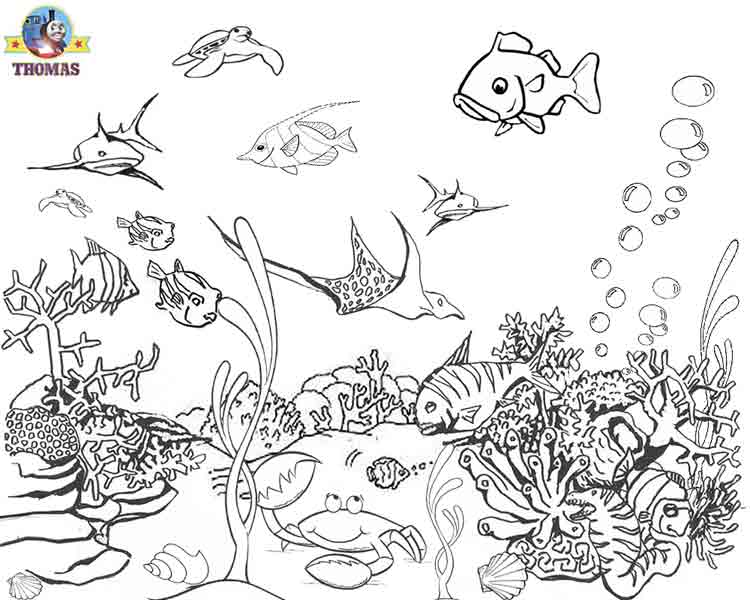 ocean creatures coloring pages - photo #23