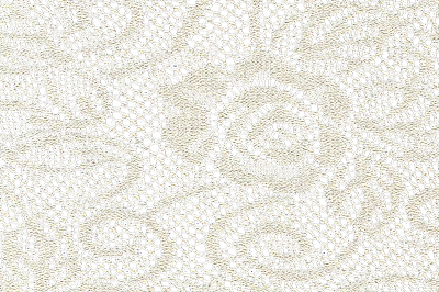 Lace Texture Overlay 5