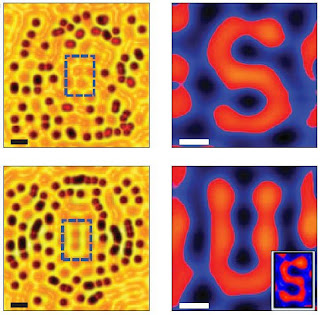 коллекция алфавитов alfabet