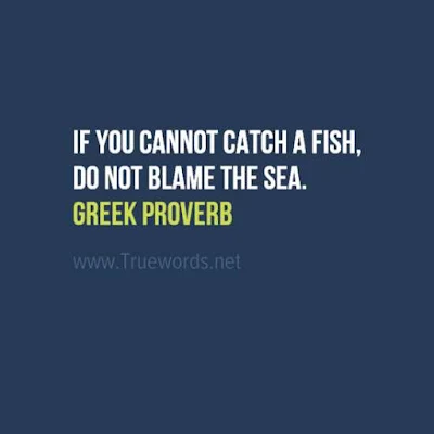 If you cannot catch a fish, do not blame the sea