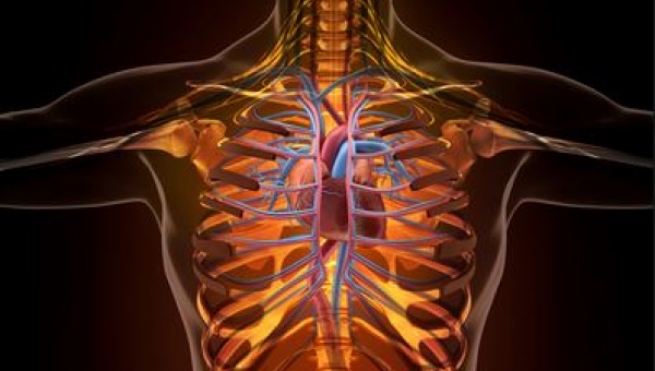 Ενεργειακό ποτό: Τι προκαλεί στο σώμα σας τις πρώτες 24 ώρες  