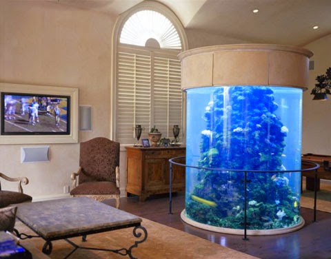 Ideas to put an aquarium