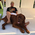 TF? Leo Messi's dog is bigger than him (photo)