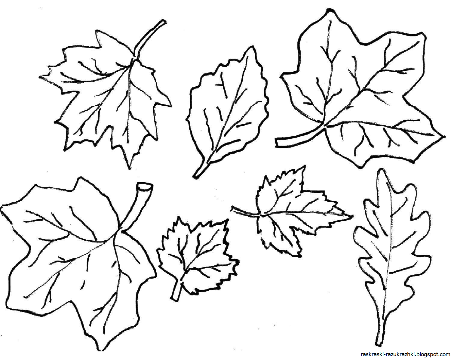 Раскрась листочки. Листья раскраска. Осенние листья трафареты для вырезания. Листья деревьев раскраска. Листья раскраска для детей.