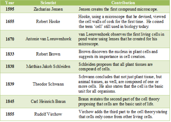 Cell and Development Biology : WEEK 4 - Topic 4: Cell Theory & Prokaryotes and Viruses, Prions