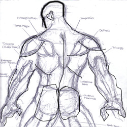 Drawing Back / Choose from 10+ drawing back graphic resources and