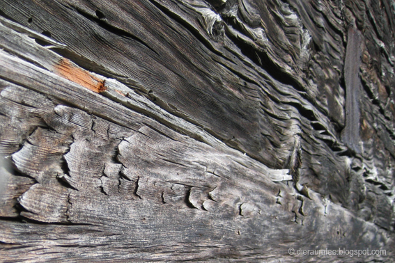 Hartmut Wicklein Hartmutwicklein Auf Pinterest