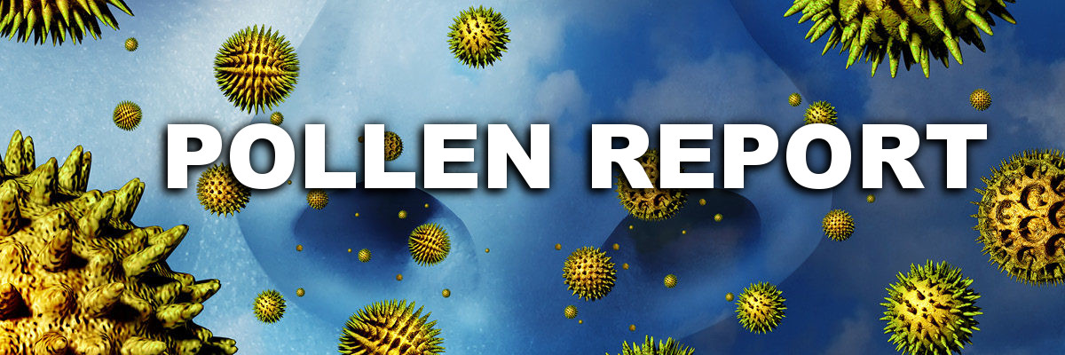 Pollen Report