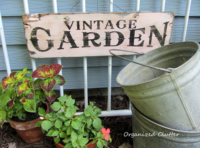 Buckets and Pails as Planters in the Junk Garden