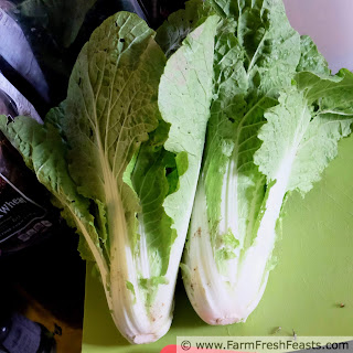 Cabbage Variety Recipes