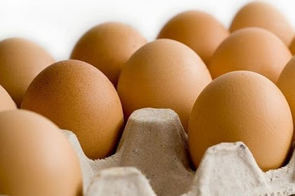 Harga Telur Ayam Ras Hari Ini Mei 2019