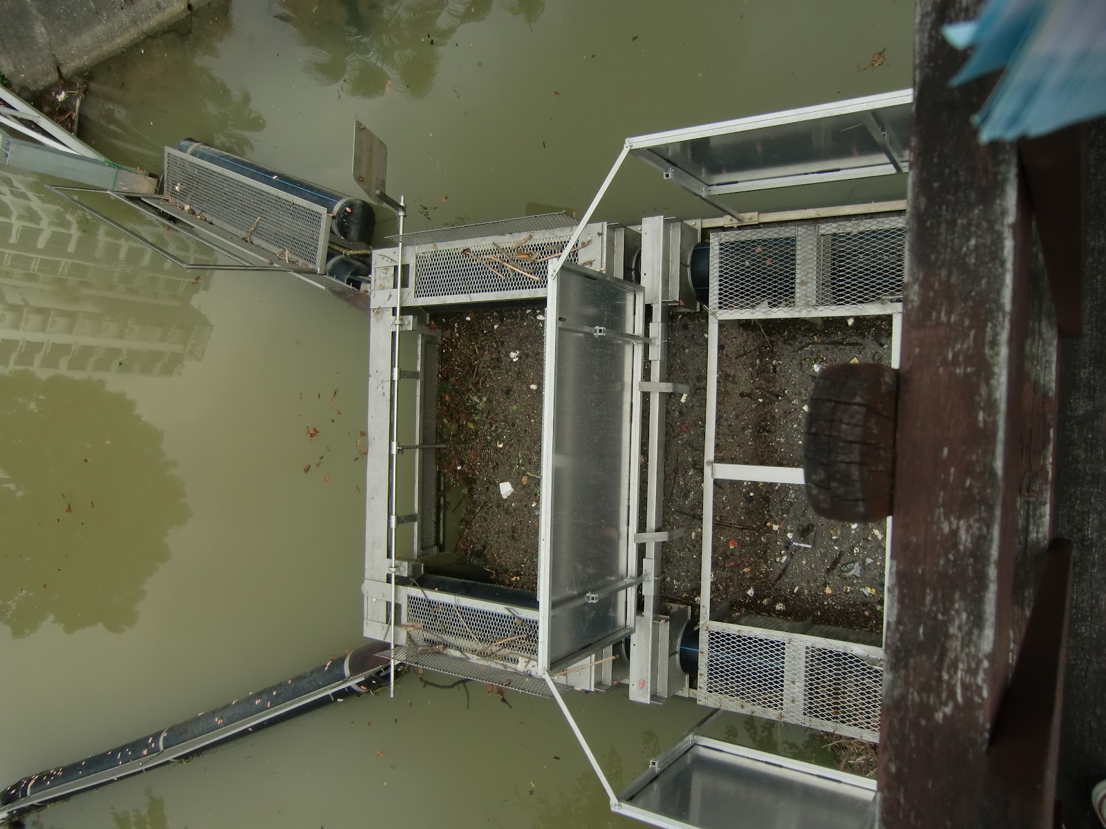 Lower Seletar Field Trip: Litter Trap