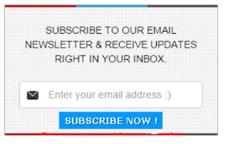 2. Email Subscription Box Widgets